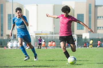 2026世界杯H组总览：斗牛士独领风骚，南美劲旅与亚洲新军争突围（配图示意）